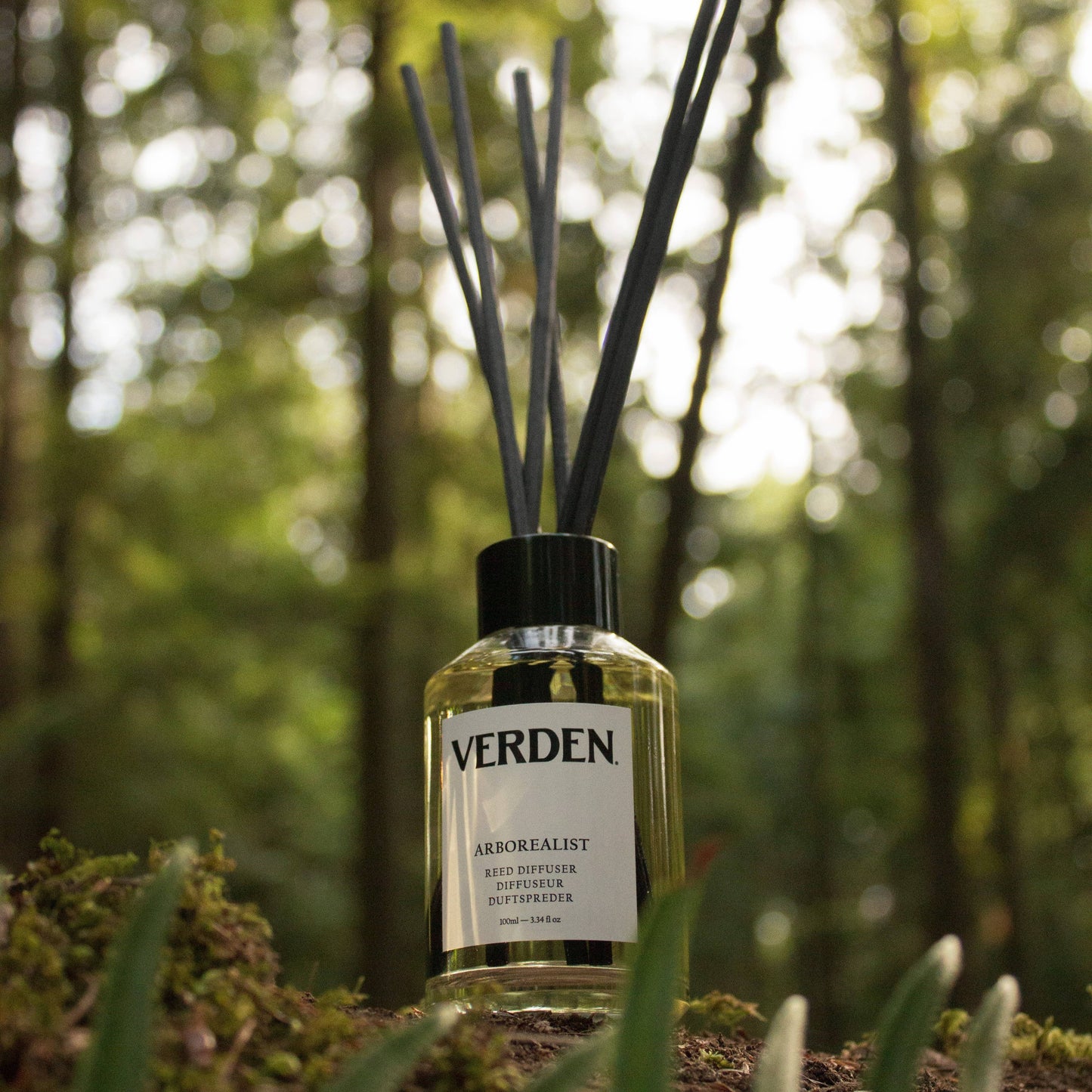 Verden Arborealist Reed Diffuser 100ml