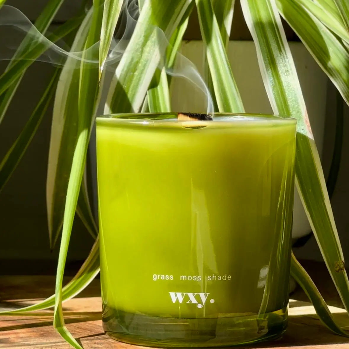 WXY Candle Grass Moss Shade