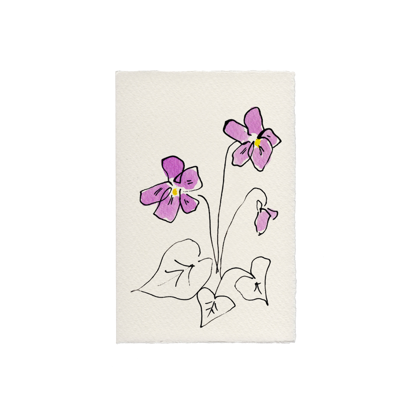 Violet (Language of Flowers) Greetings Card