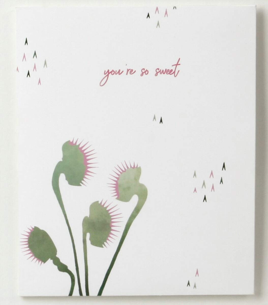 Venus Fly Trap Greetings Card