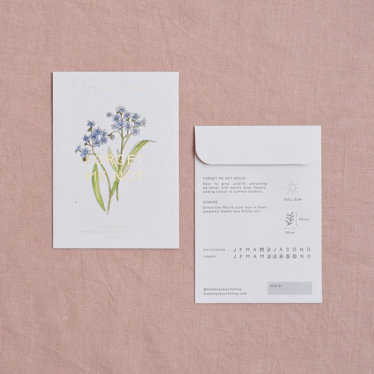 Forget-Me-Not Myosotis Alpestris Seed Packet