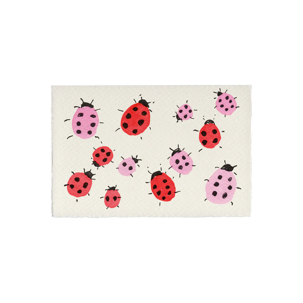Ladybird Love Bugs