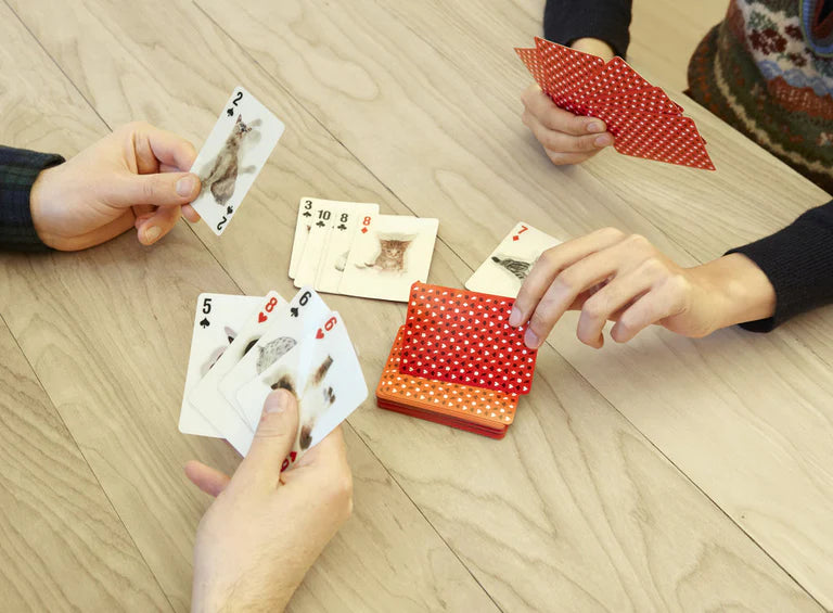 PLAYING CARDS CATS 3D