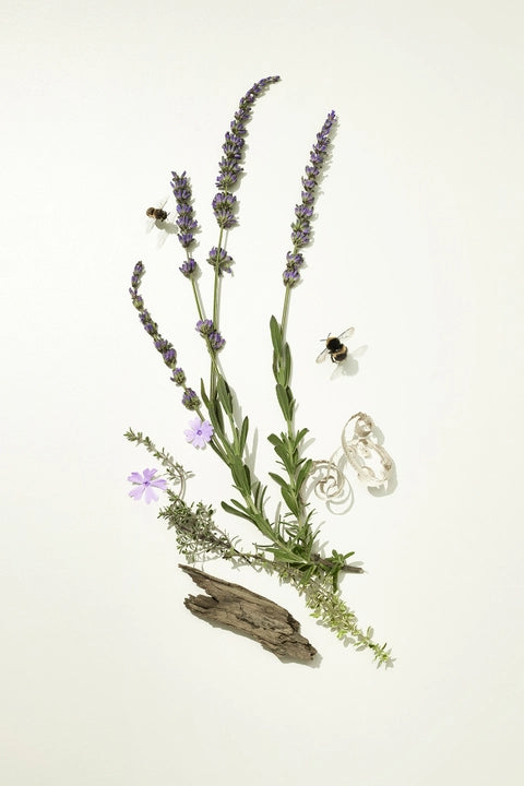 Bamford Flora English Lavender Diffuser 200ml