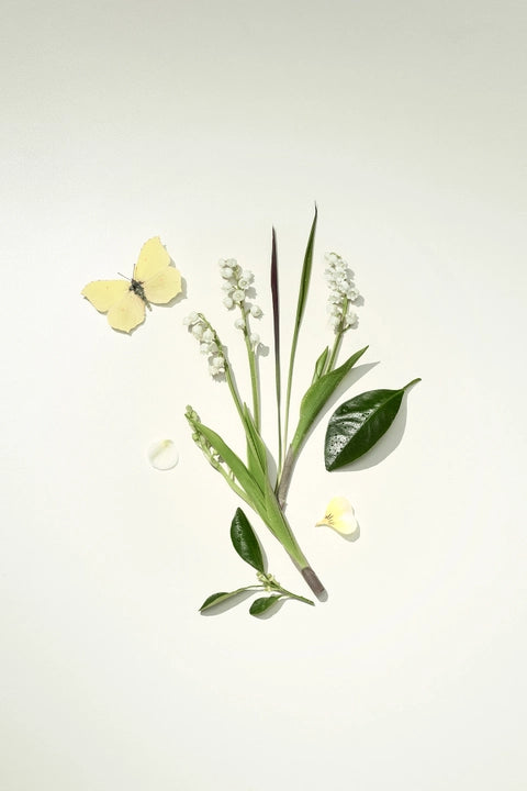 Bamford Flora Lily of the Valley Diffuser 200ml