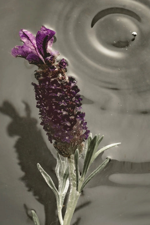 Bamford Lavender Garden Candle 220G