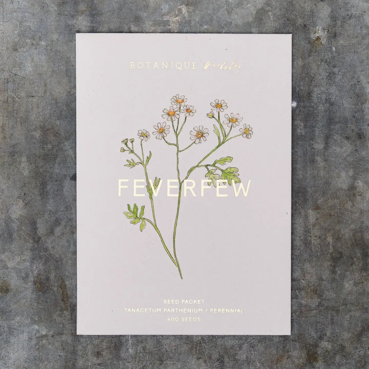 Feverfew Tanacetum Seed Packet