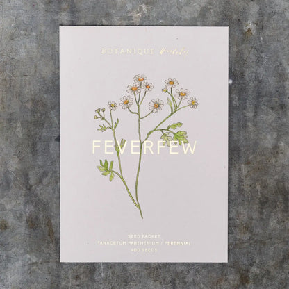 Feverfew Tanacetum Seed Packet