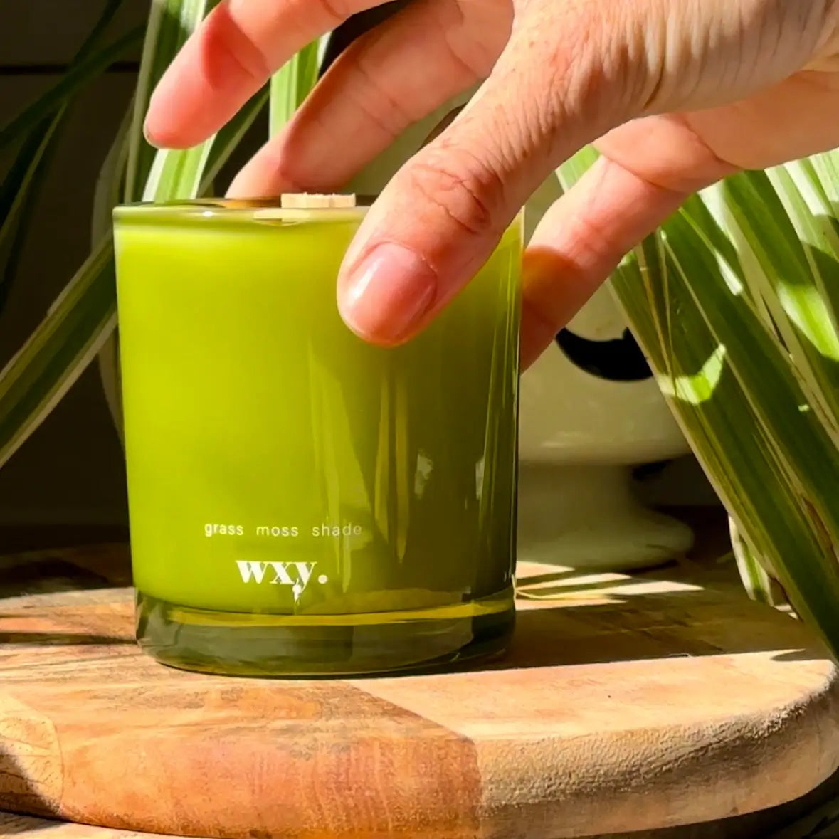 WXY Candle Grass Moss Shade