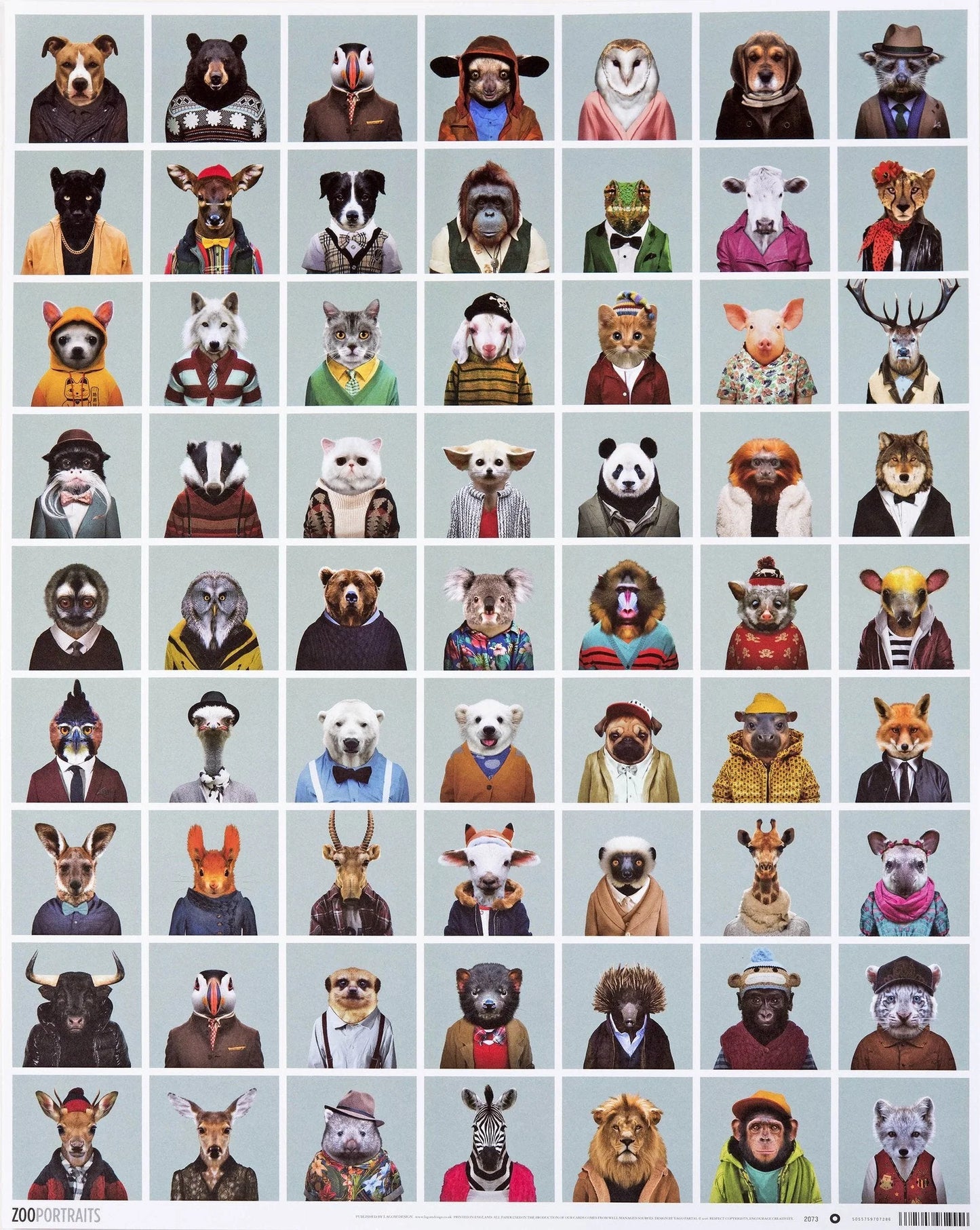Zoo Portraits Polaroid Sheet Gift Wrap