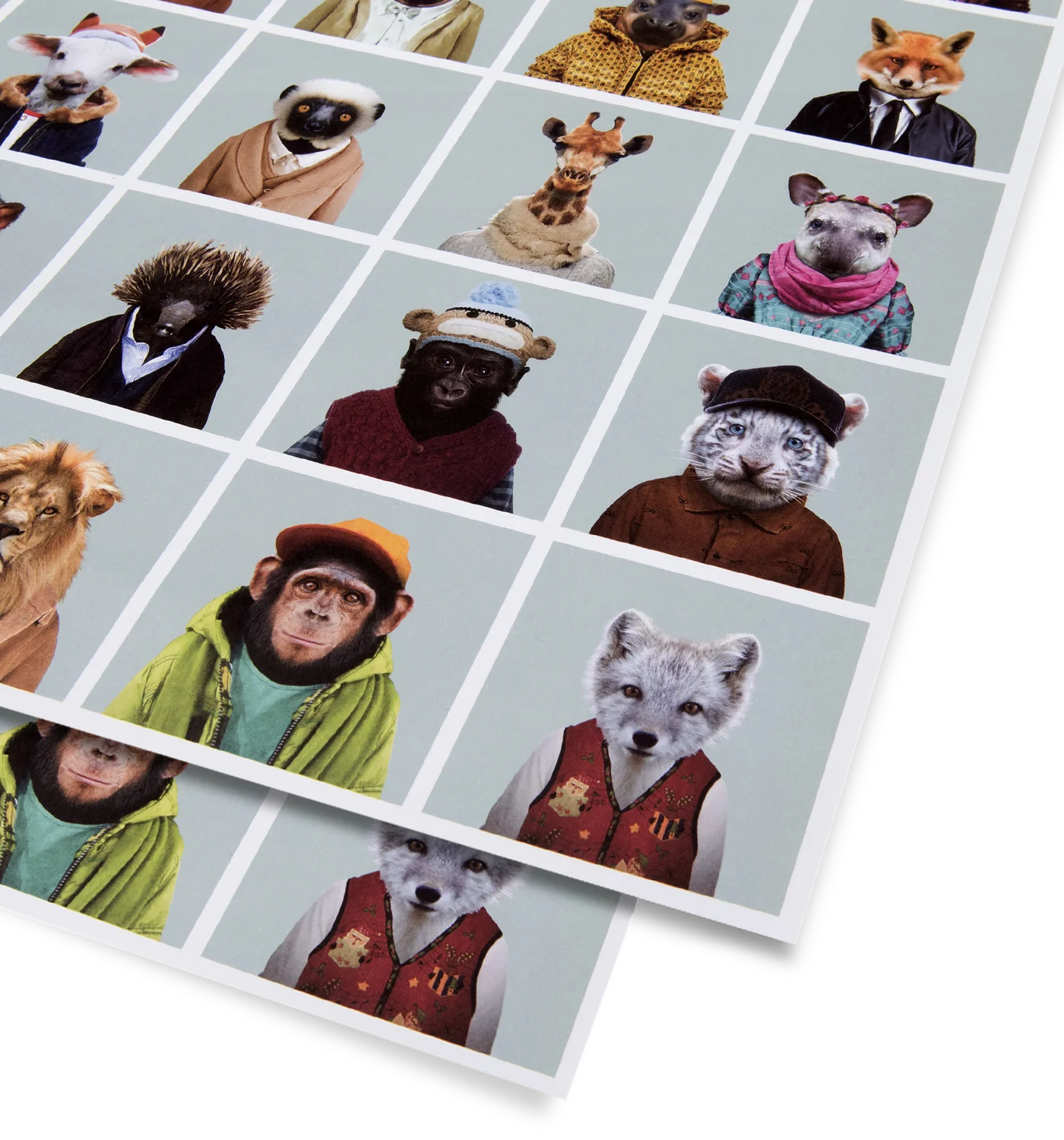 Zoo Portraits Polaroid Sheet Gift Wrap