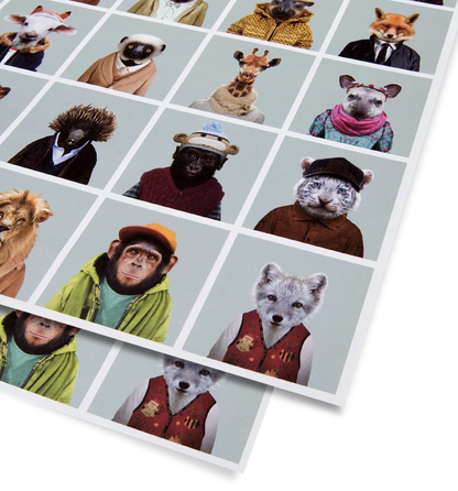 Zoo Portraits Polaroid Sheet Gift Wrap