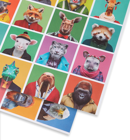 Zoo Portraits Colourful Polaroid Sheet Gift Wrap