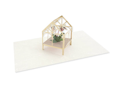 Orchid in Greenhouse Pop-Up Card