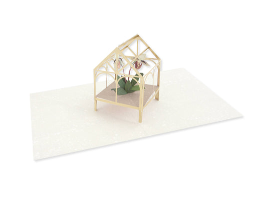 Orchid in Greenhouse Pop-Up Card