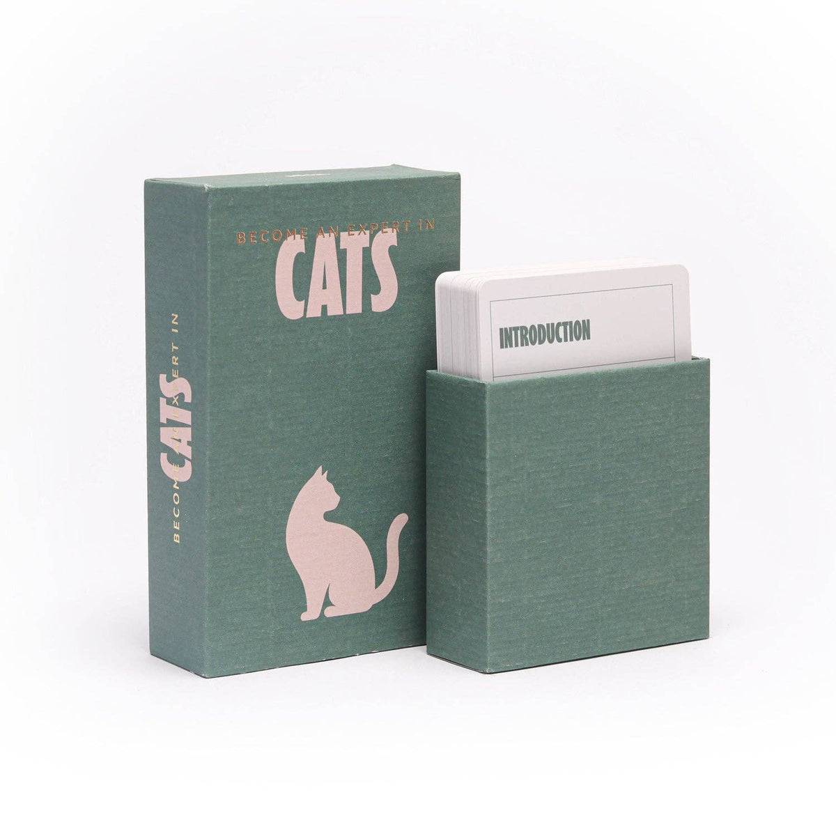 Become an Expert in Cats | Fun Trivia Gift for Cat Lovers