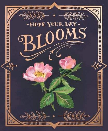 Seed Packet Blooms Pop-Up Card