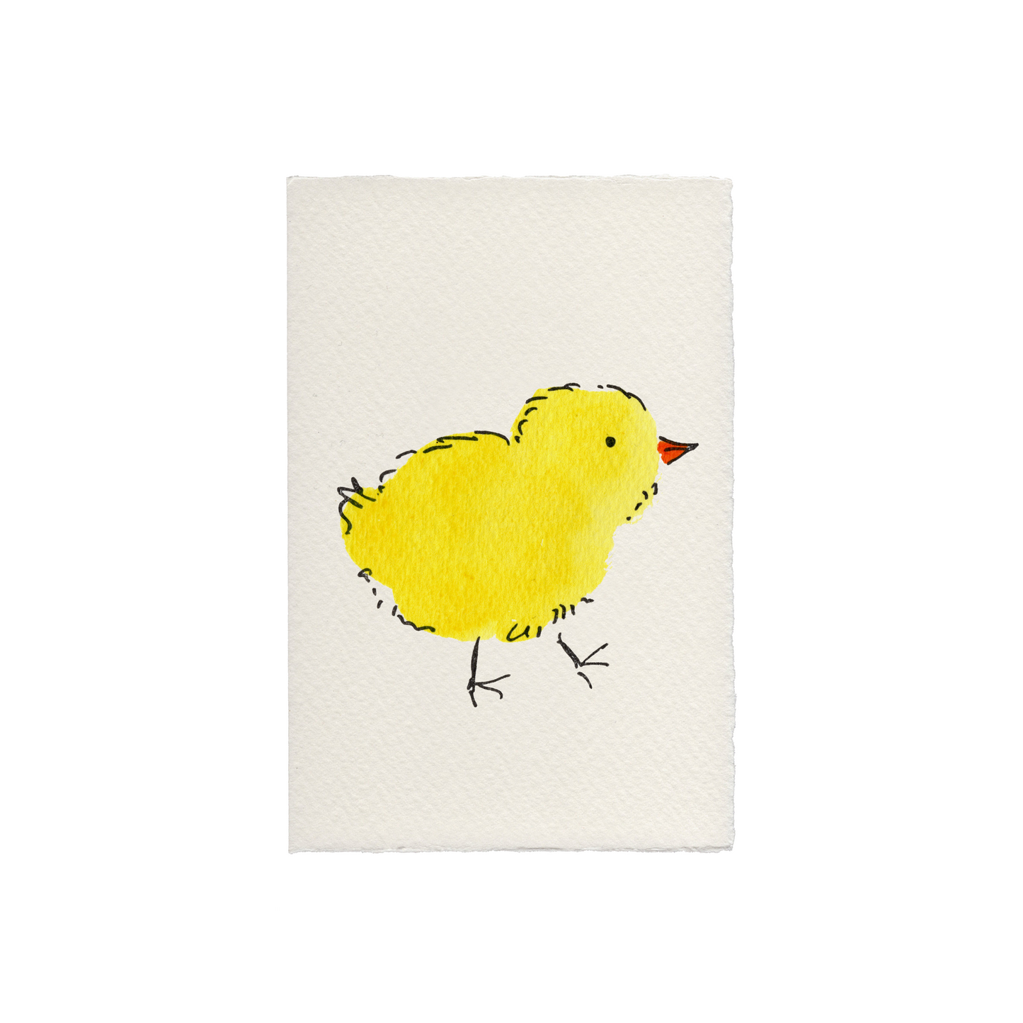 Chick Easter Spring Greetings Card