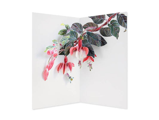 Fuchsia Pop-Up Card- Hiromi Takeda