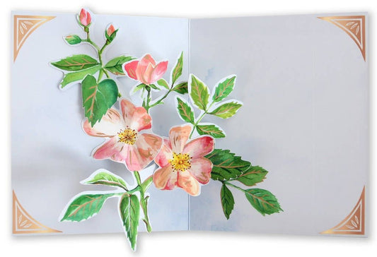 Seed Packet Blooms Pop-Up Card