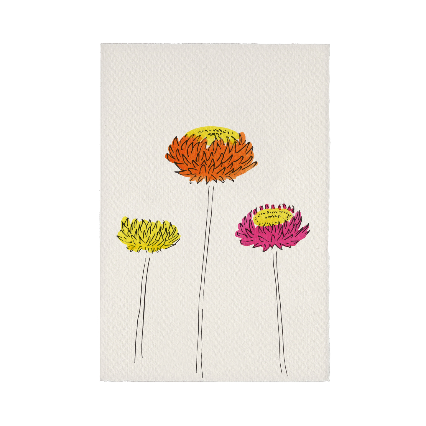 Charleston Collection Card - Everlasting Flower