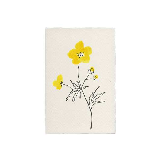 Buttercup Floral Greetings Card