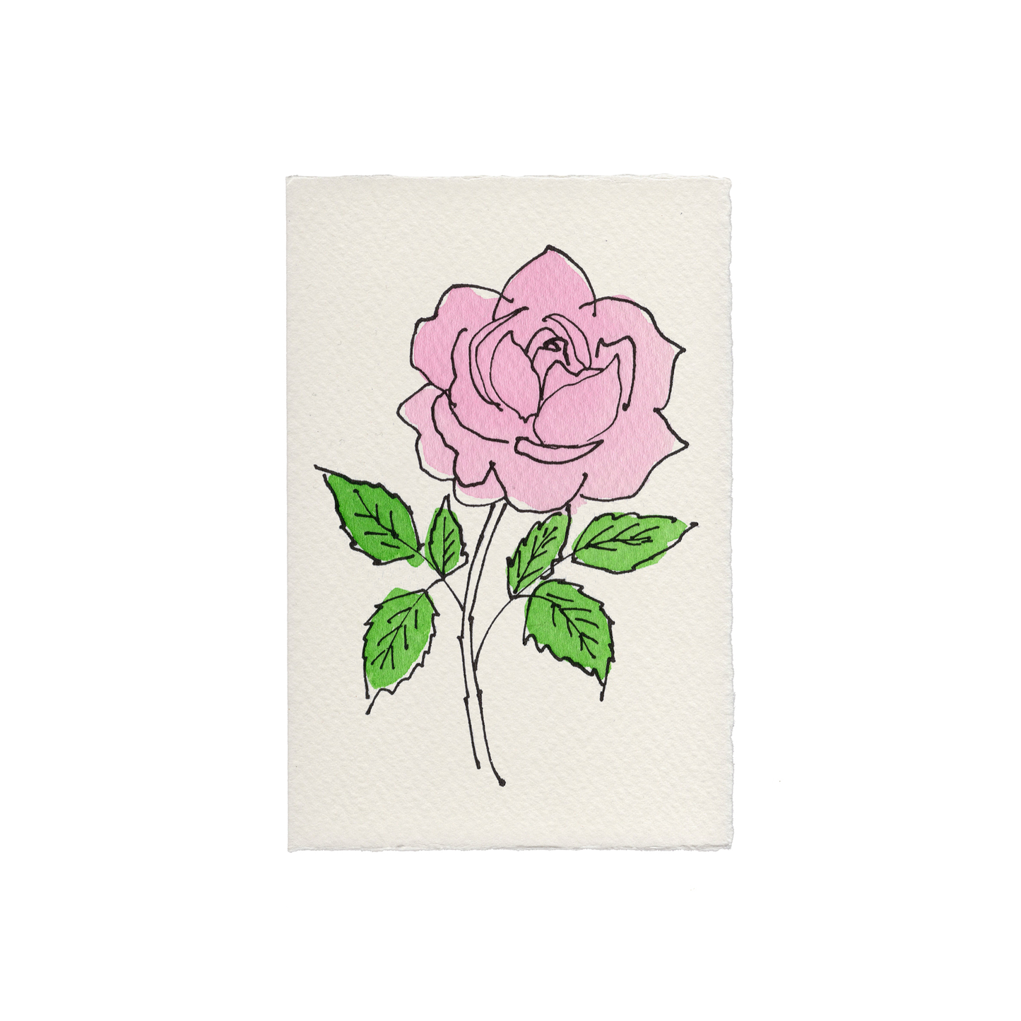 Rose Card: Red