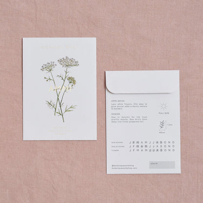 Ammi Majus Seed Packet