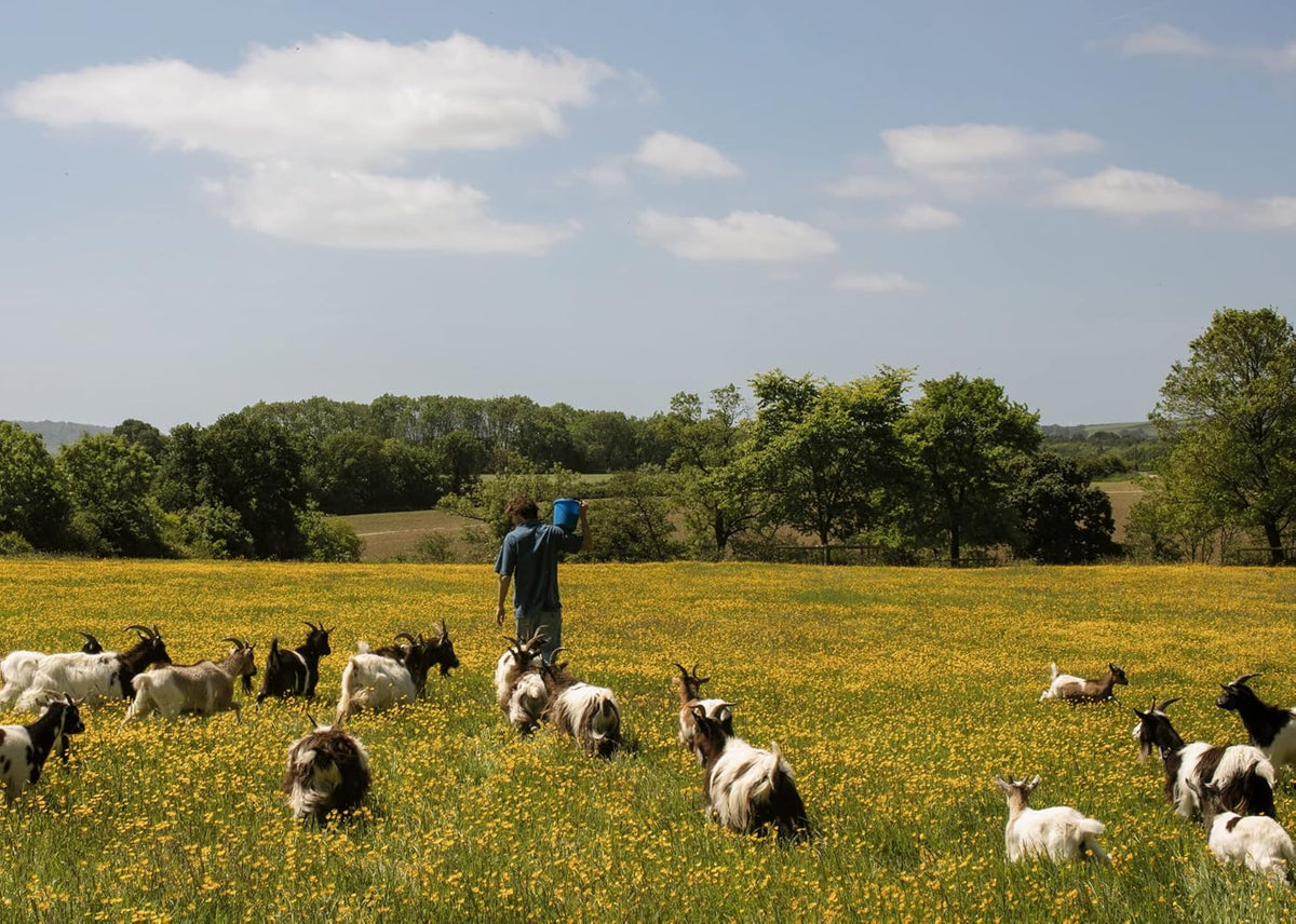 The Farm Table : THE SUNDAY TIMES BESTSELLER