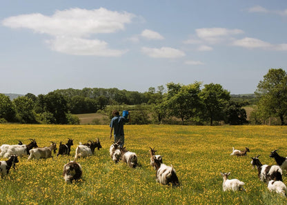 The Farm Table : THE SUNDAY TIMES BESTSELLER