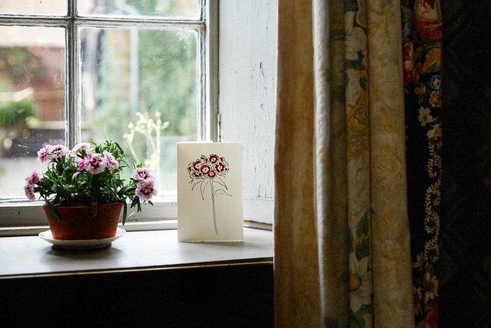 Charleston Collection Card - Sweet William