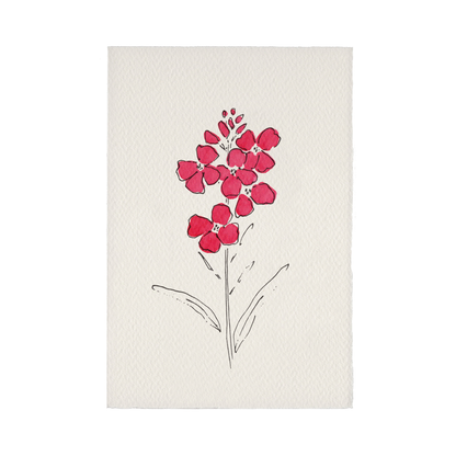 Charleston Collection Card - Wallflower