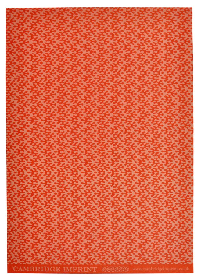 Cambridge Imprint Sheet Patterned Paper Kelp Tangerine