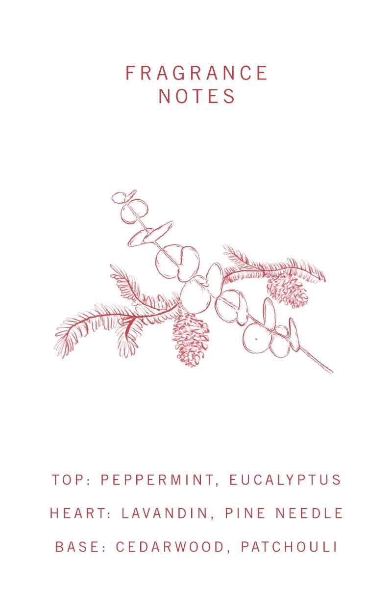 Bamford Eucalyptus + Fir Tree Diffuser