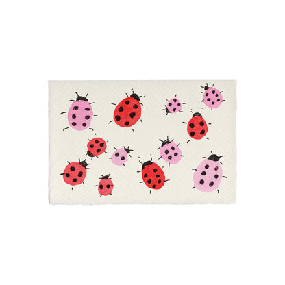 Ladybird Love Bugs