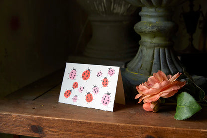 Ladybird Love Bugs