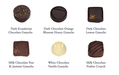 Rococo Truffle Hound Chocolate Collection