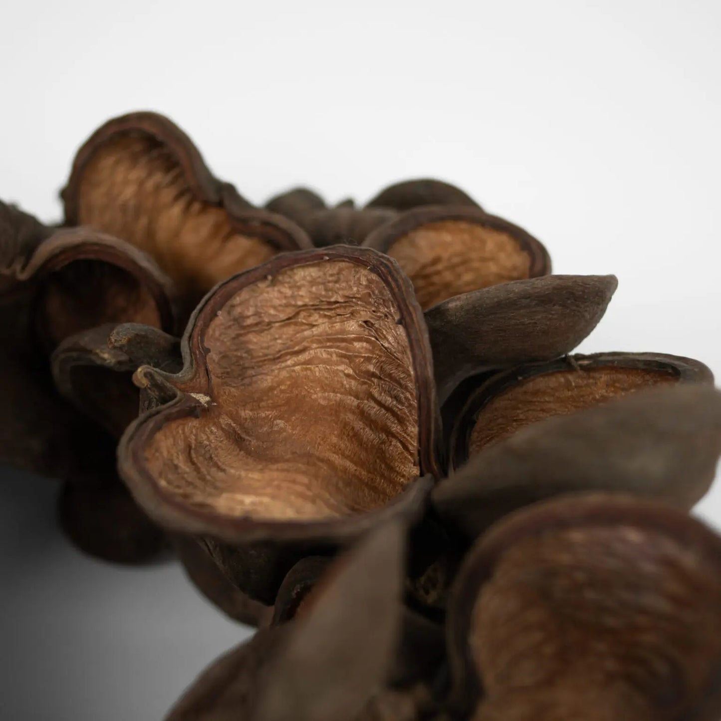 Wreath Almond Nut 38 cm