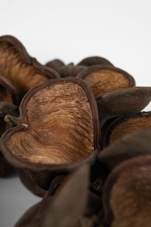Wreath Almond Nut 50 cm