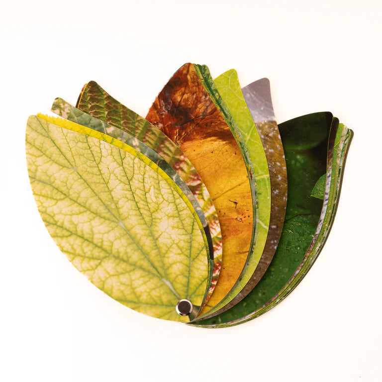 PLANT HEALTH HANDBOOK