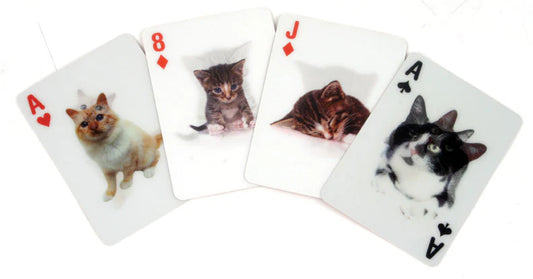 PLAYING CARDS CATS 3D