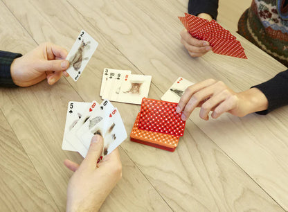 PLAYING CARDS CATS 3D