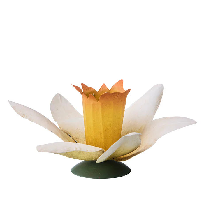 Daffodil Head Straw Candle Holder H7cm
