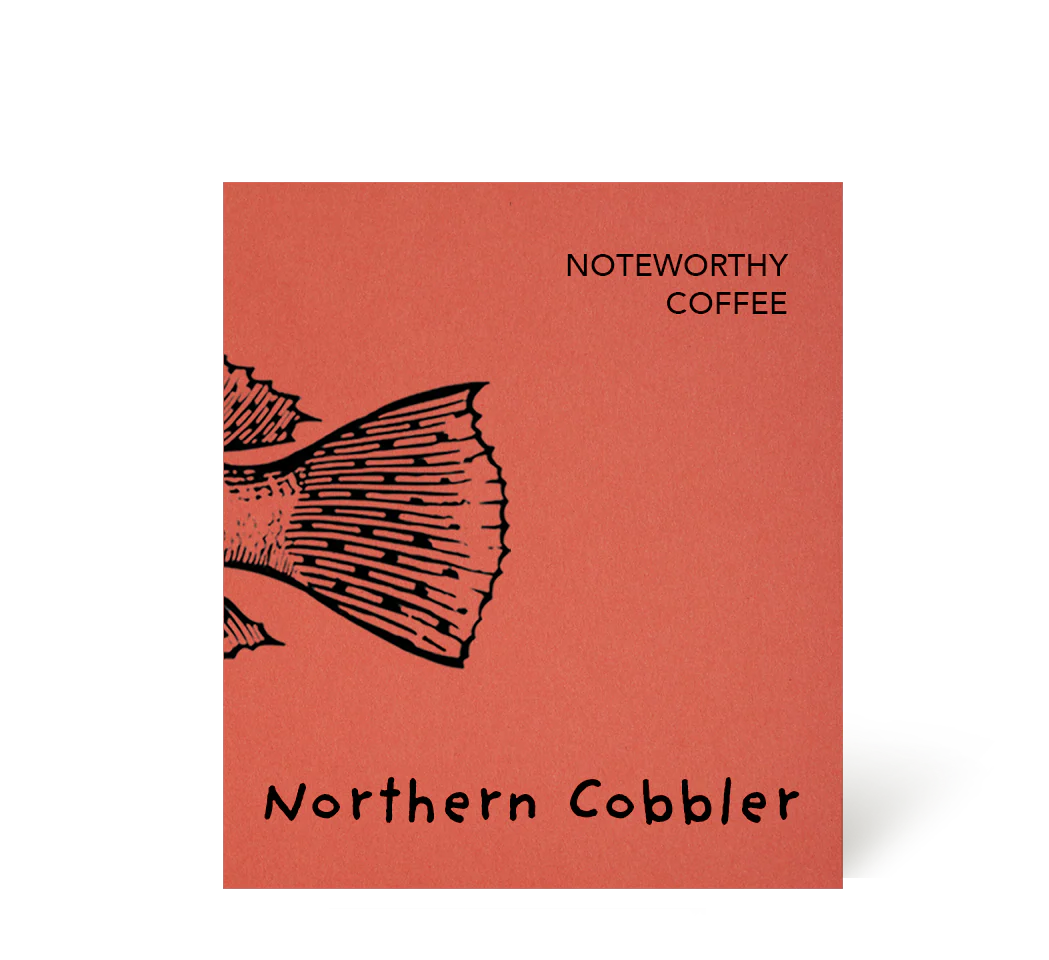 Northern Cobbler Coffee - Malin