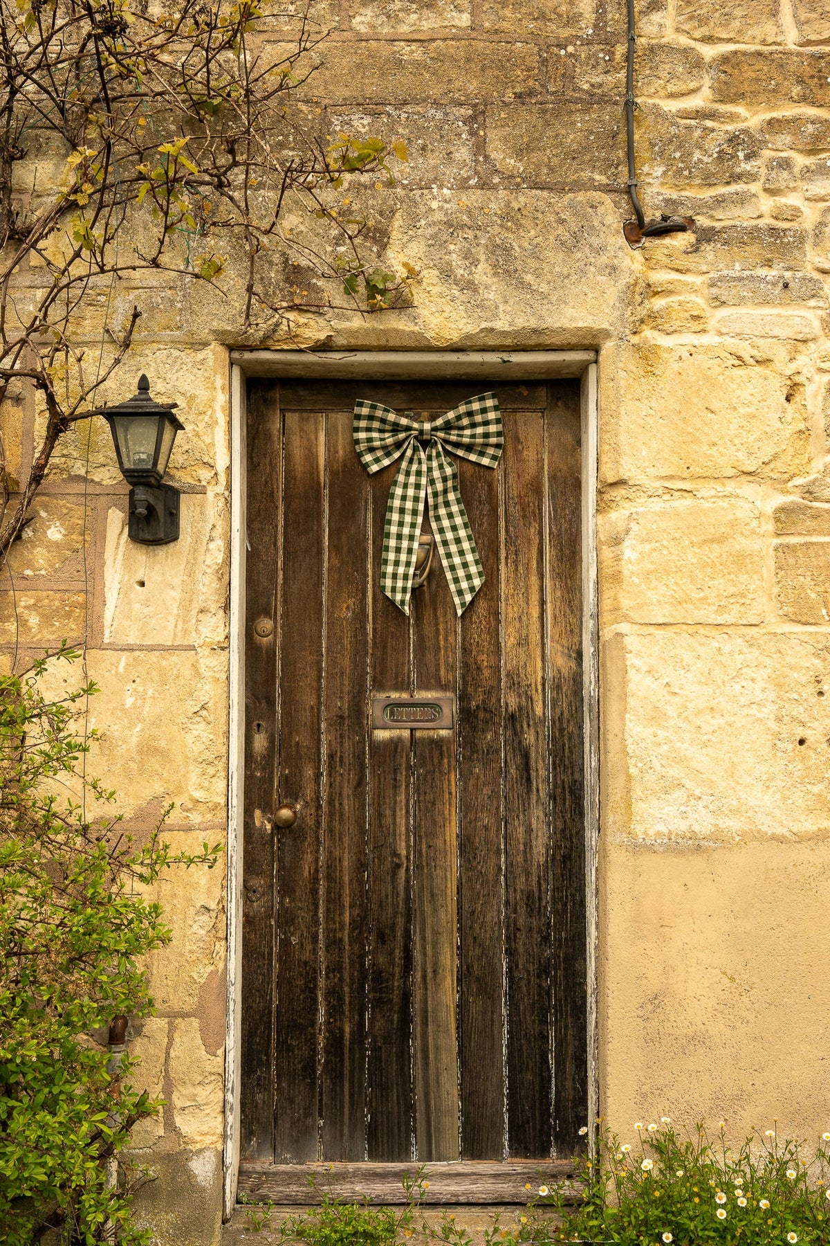 Large Gingham Bow - Pine Green