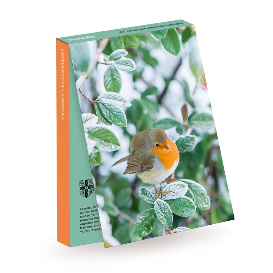University of Cambridge / Howard Rice, Robin / PK 10