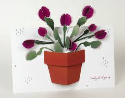 Venus Fly Trap Greetings Card