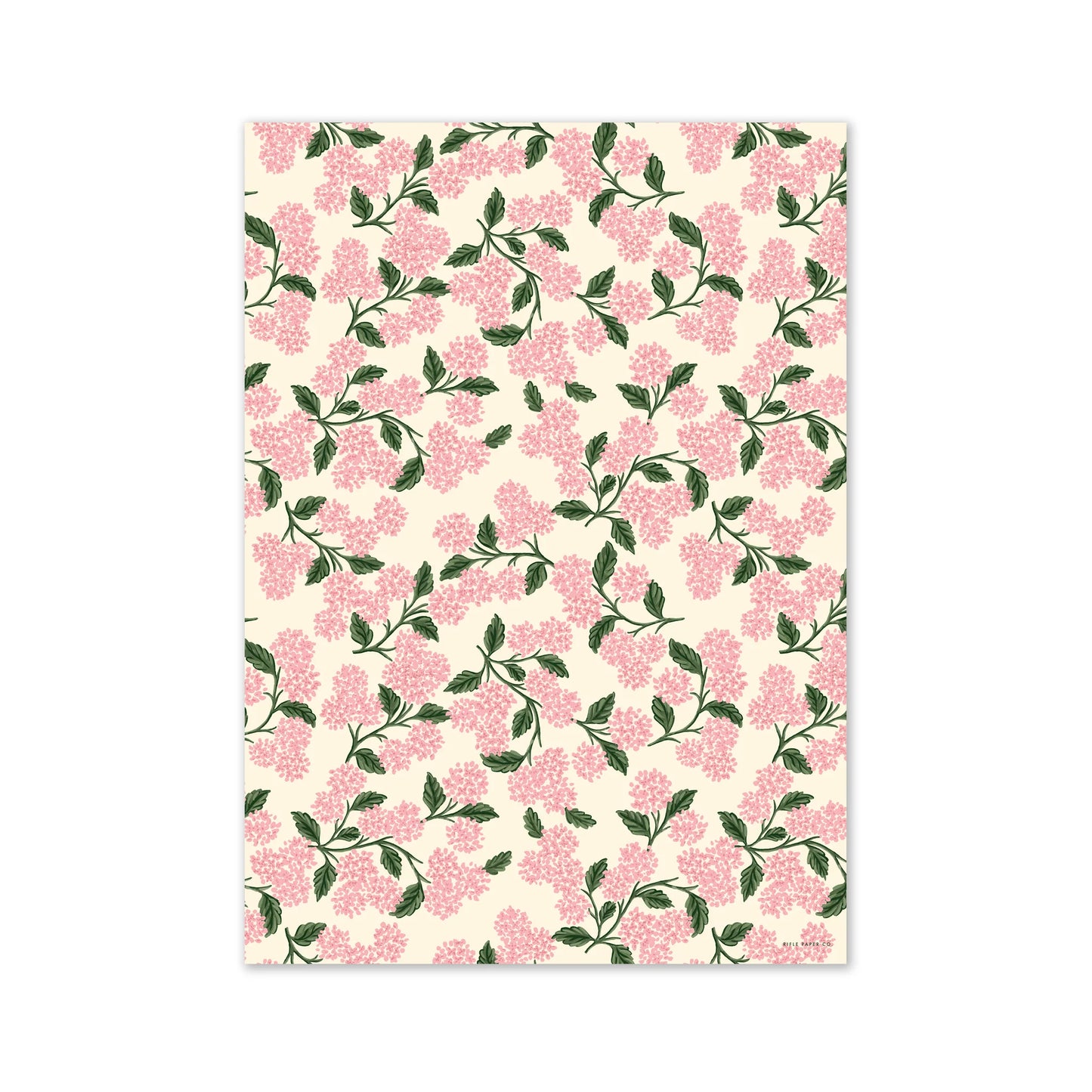 Rifle Paper Pink Hydrangea 3 Roll Wrap