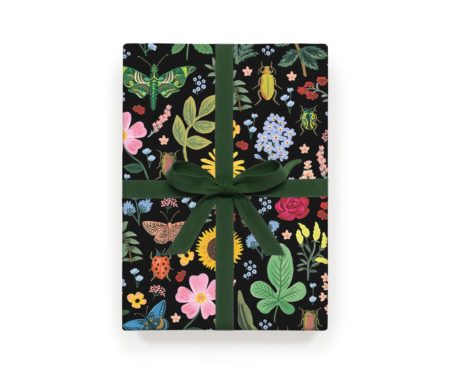 Rifle Paper Curio 3 Wrap Roll