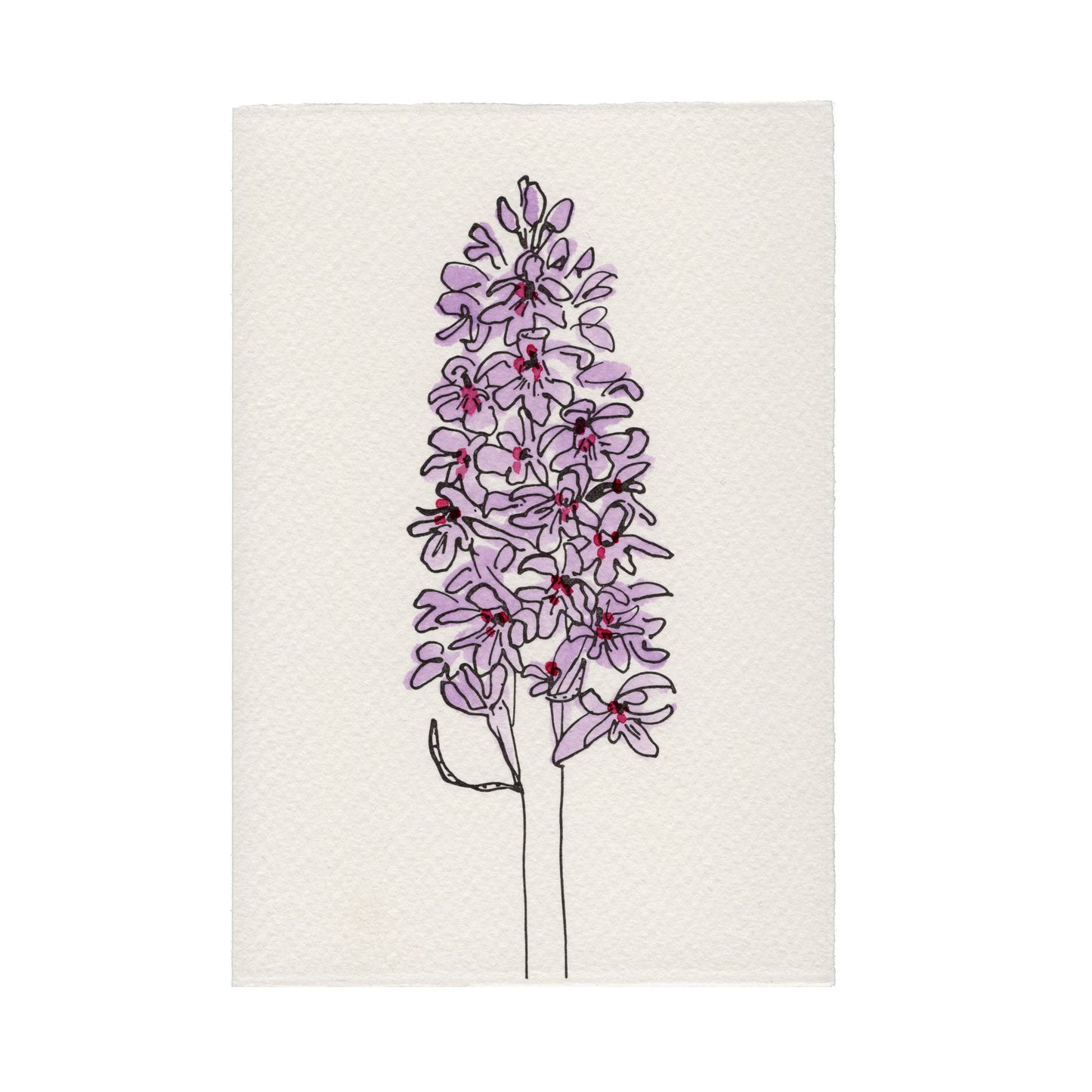 In The Meadow Card - Common-Spotted Orchid